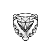 Diamond Tulip 