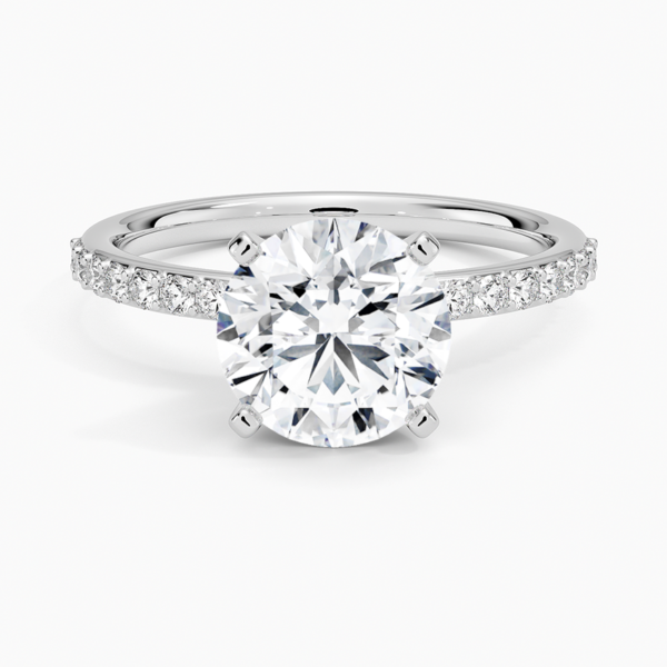 Petite Shared Prong Half Coverage - Image 2