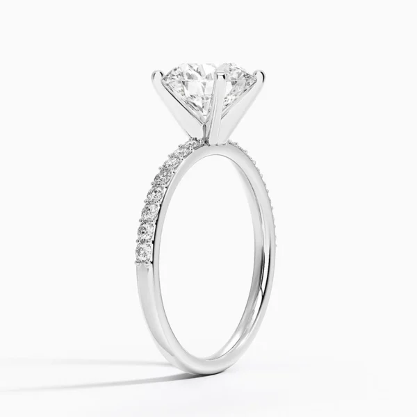Petite Shared Prong Half Coverage - Image 3